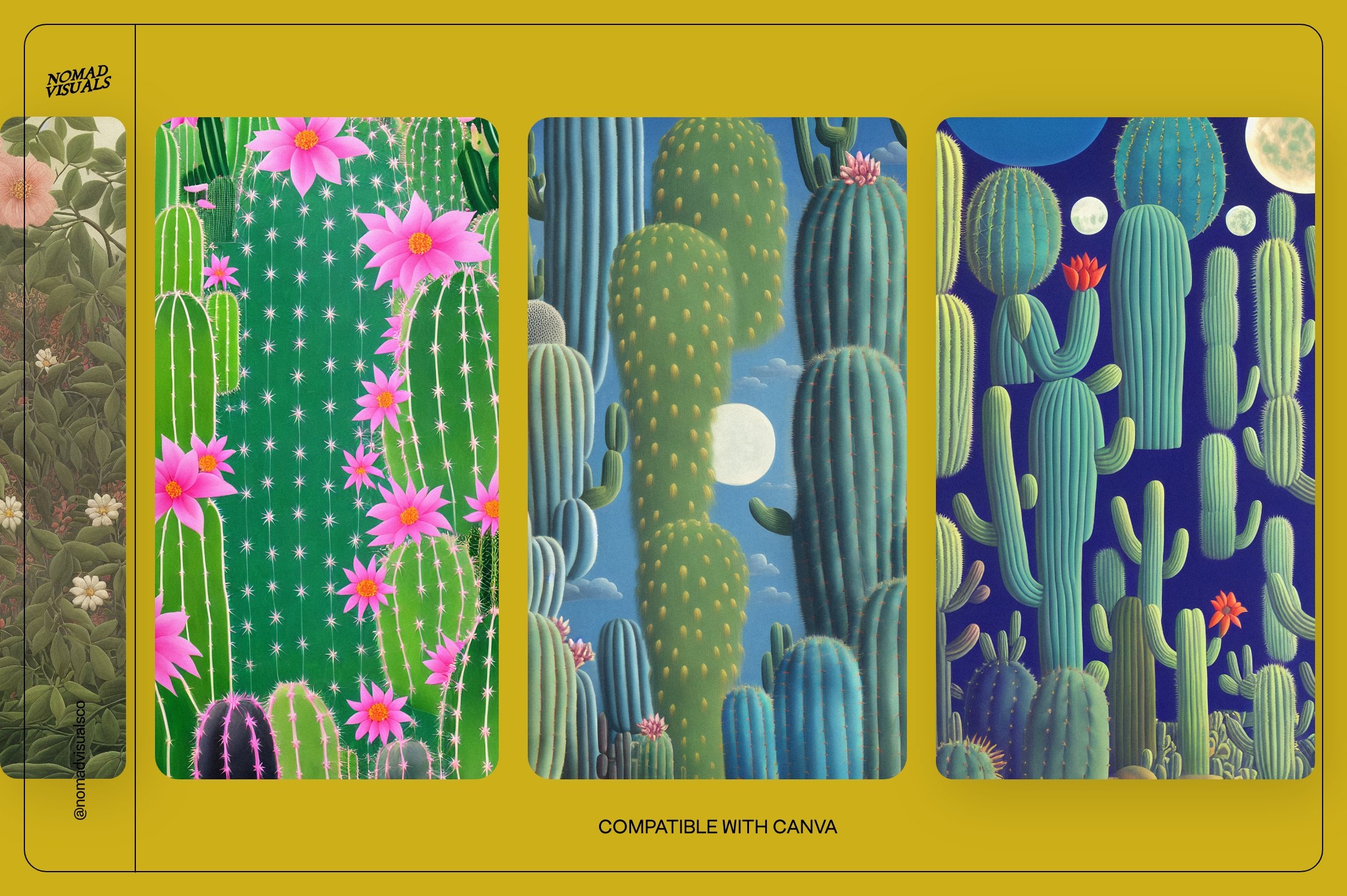 Series of three images showing different cactus designs.
