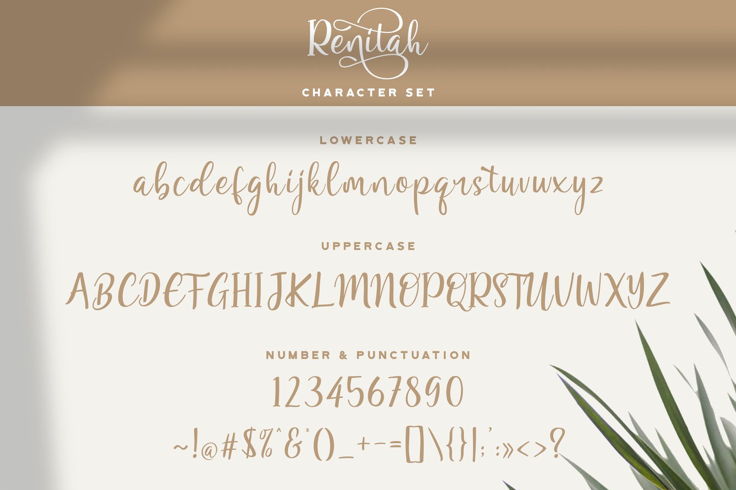 13 font preview 642