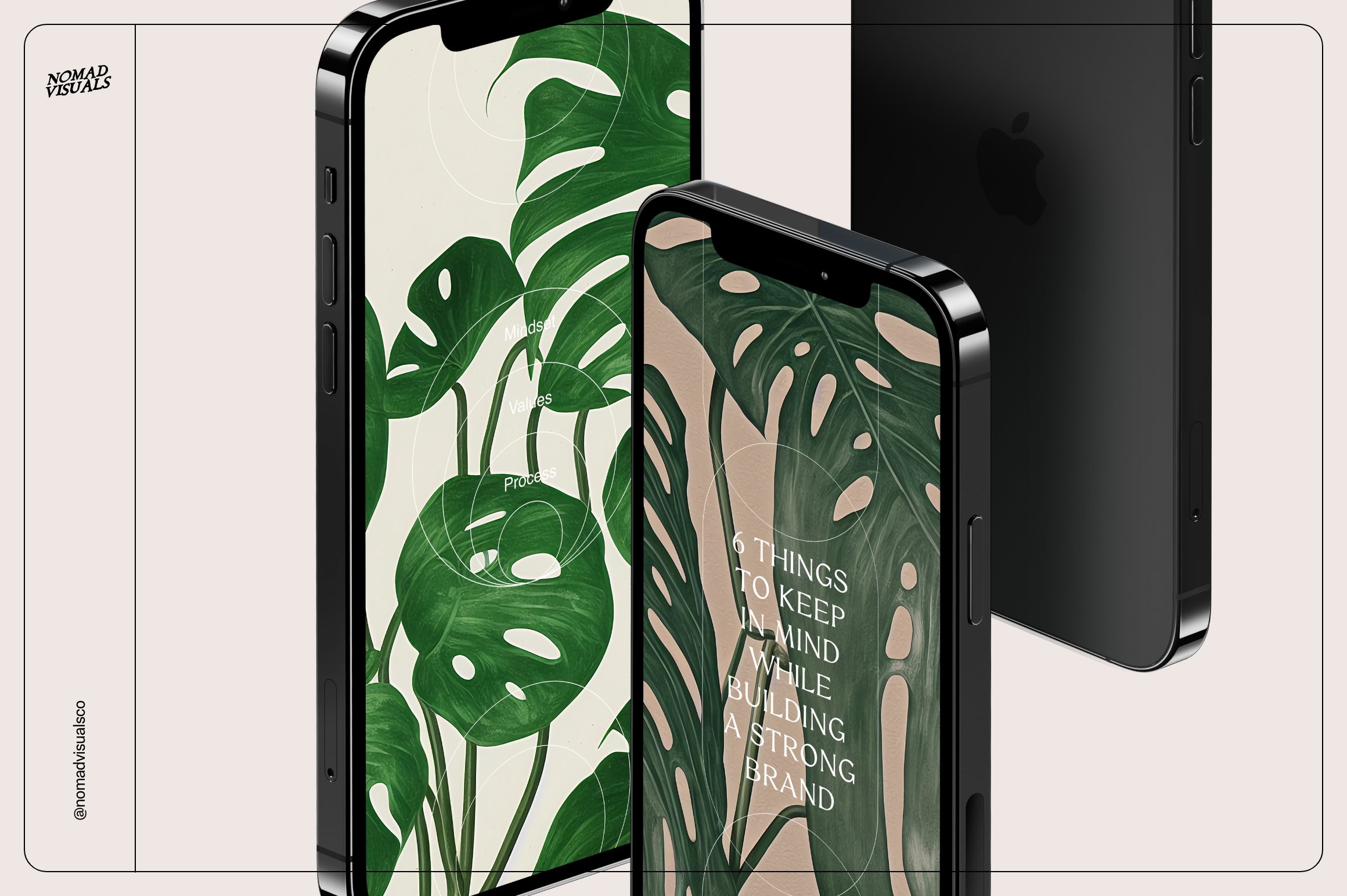 Monstera Tropical Collection preview image.