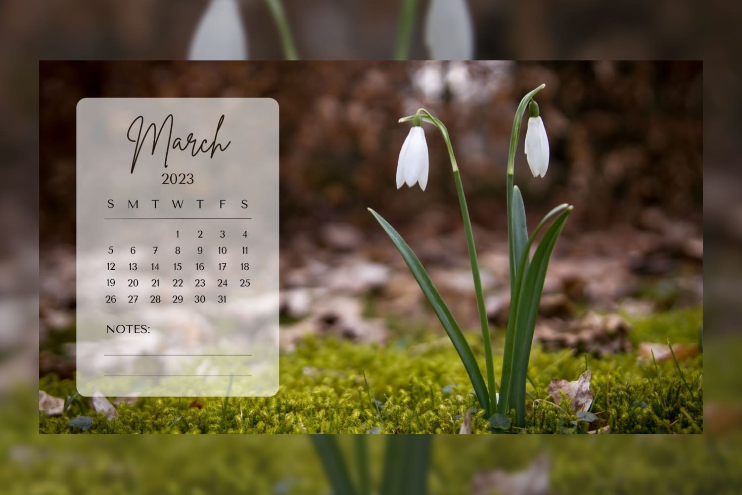 March 2023 desktop calendar wallpaper with green and white color scheme and spring flower.