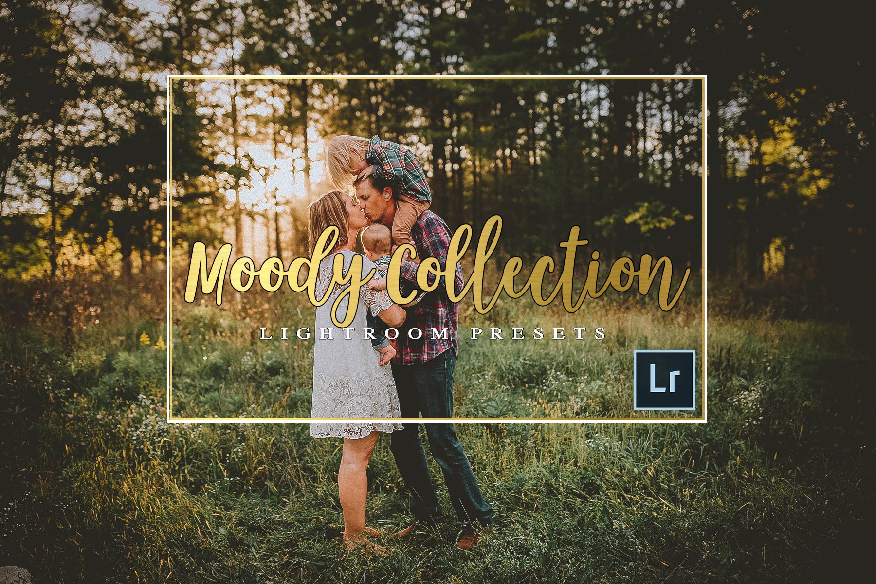 Moody Lightroom Preset Collectioncover image.