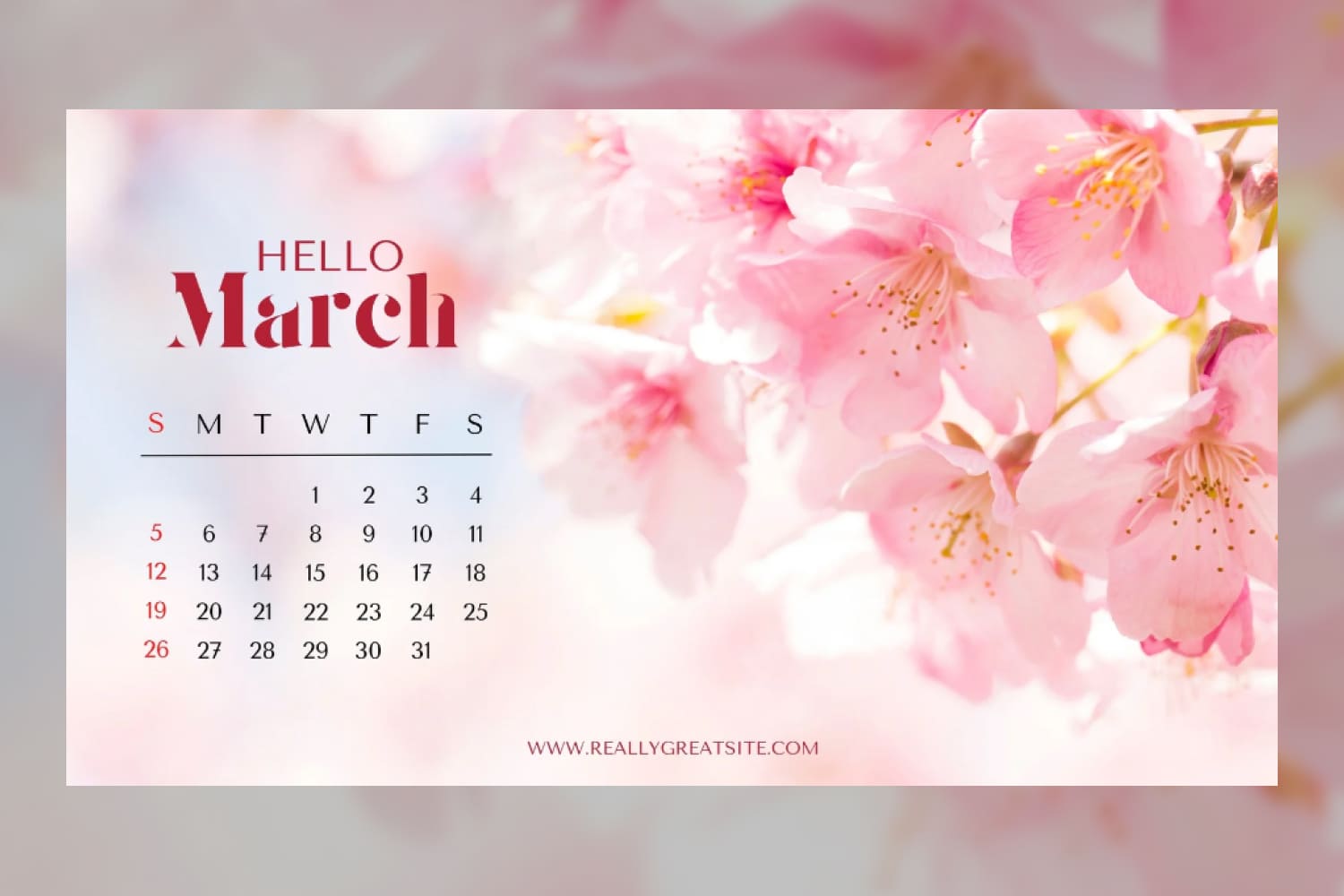 March calendar wallpaper with a high-quality photo of spring flowers in pink and white tones.