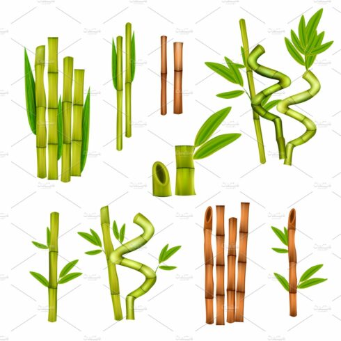 Collection of bamboo sticks and leaves.