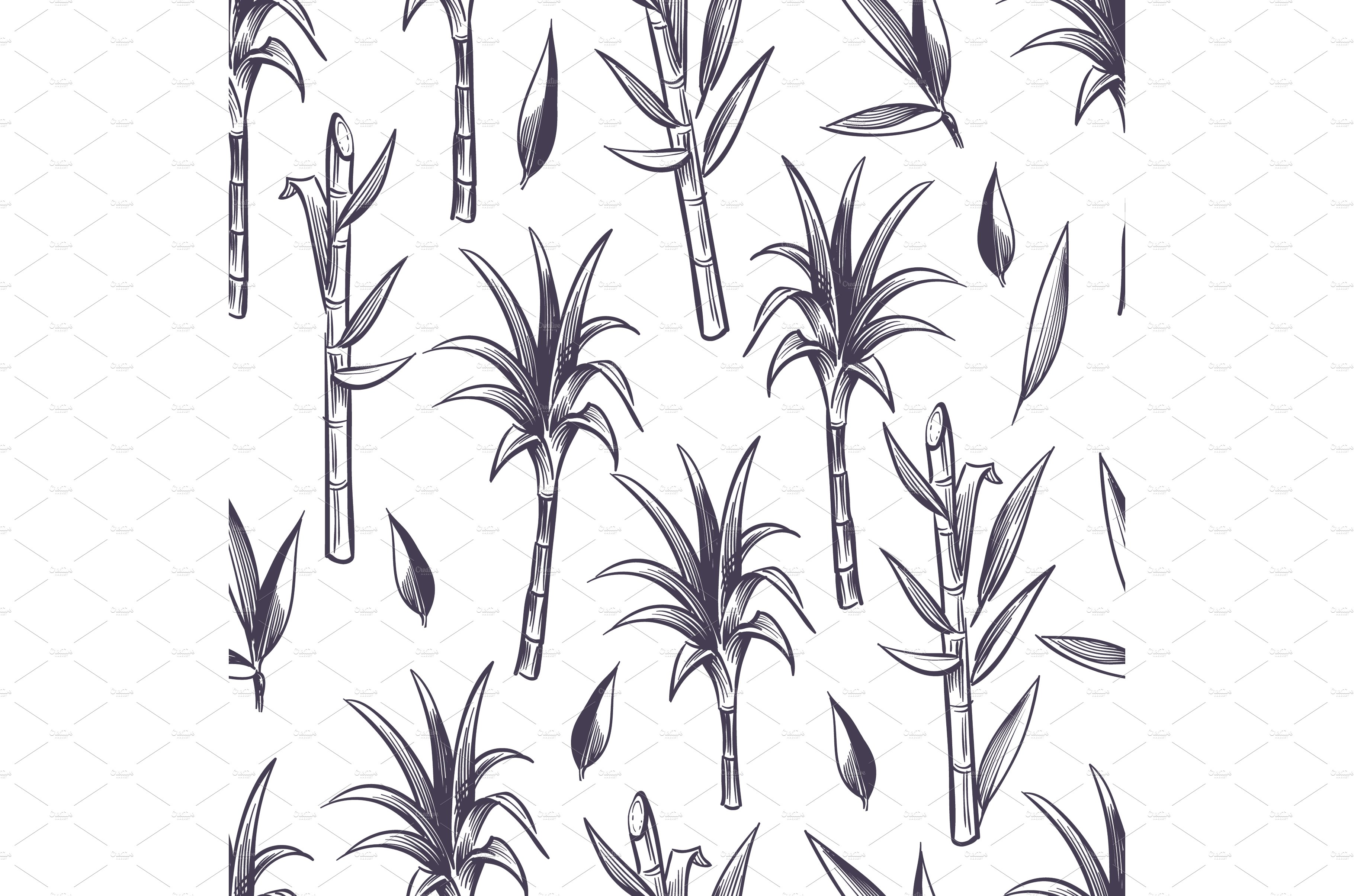 Black and white drawing of bamboo trees.
