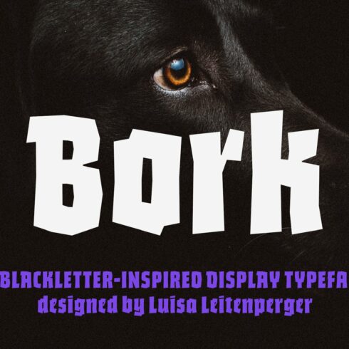 Bork: a blackletter-inspired font cover image.