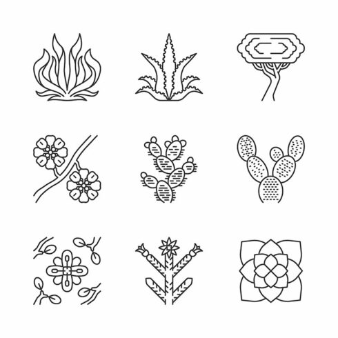 Line drawing of different types of plants.