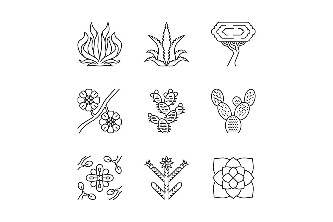 Line drawing of different types of plants.