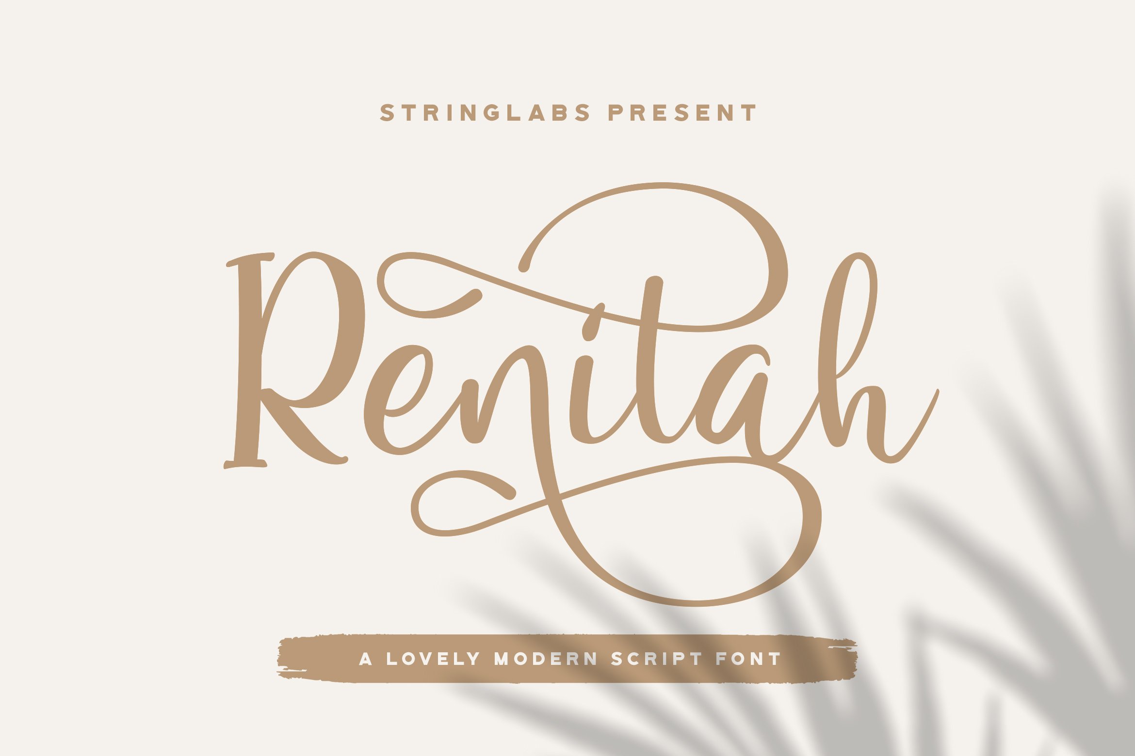Renitah - Lovely Script Font cover image.