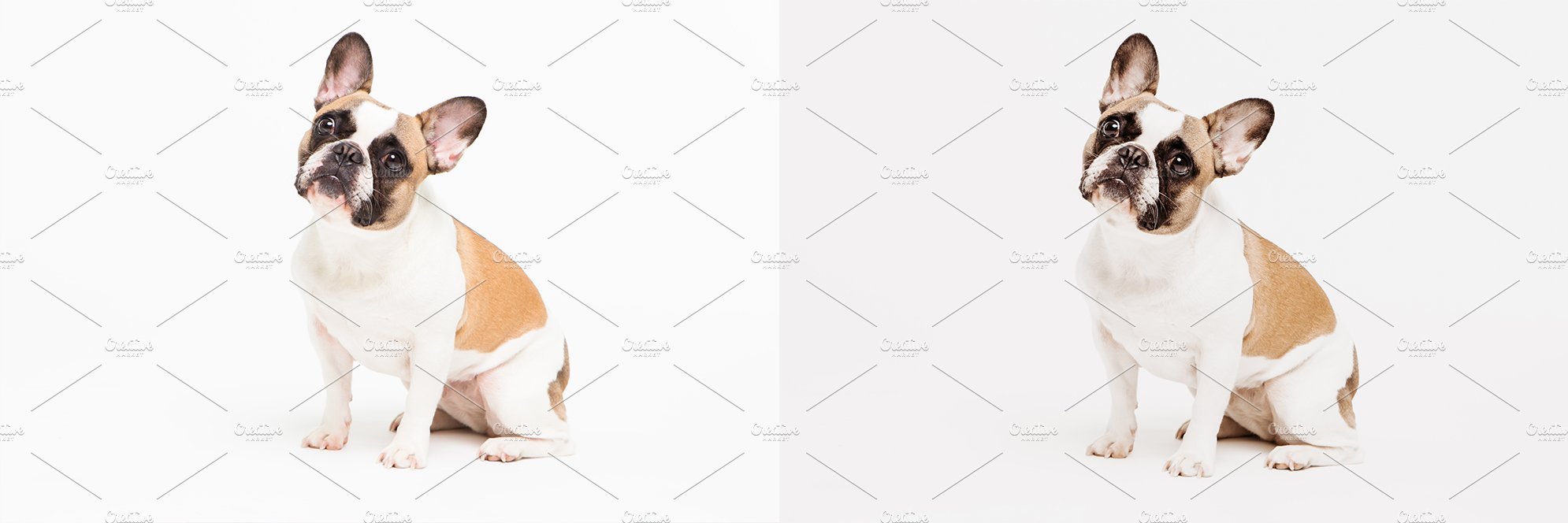 12 x Lightroom Minimalistic Nudepreview image.