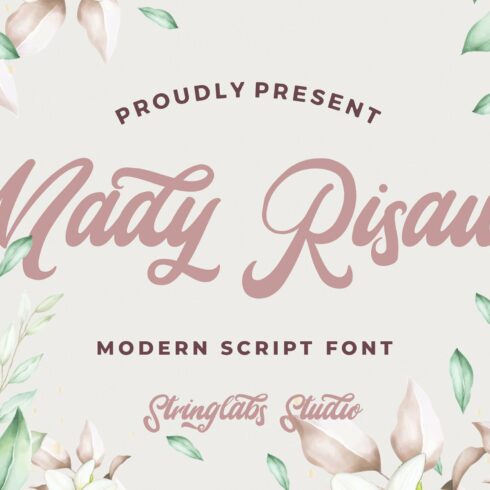Mady Risaw - Modern Script Font cover image.