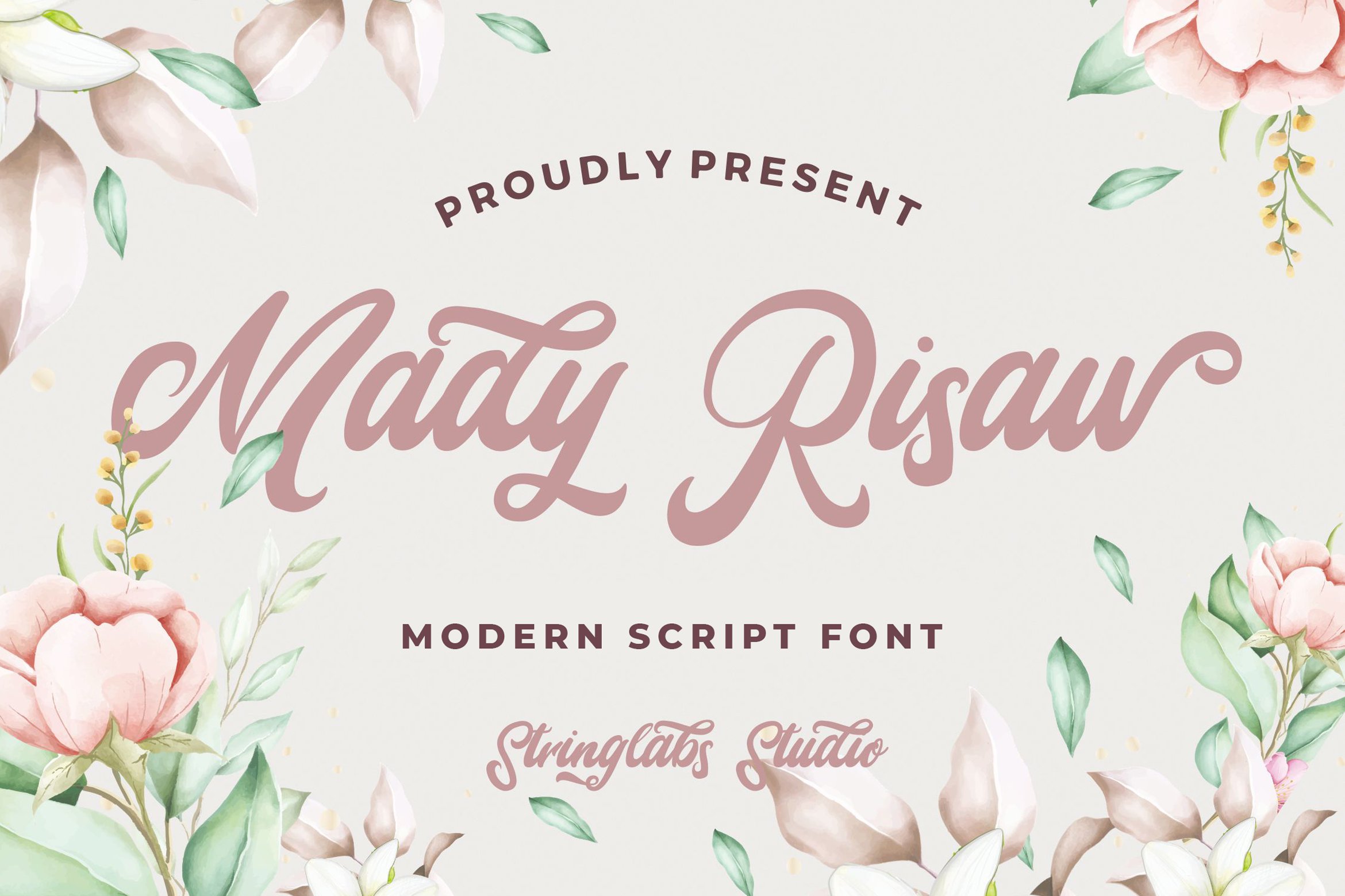 Mady Risaw - Modern Script Font cover image.