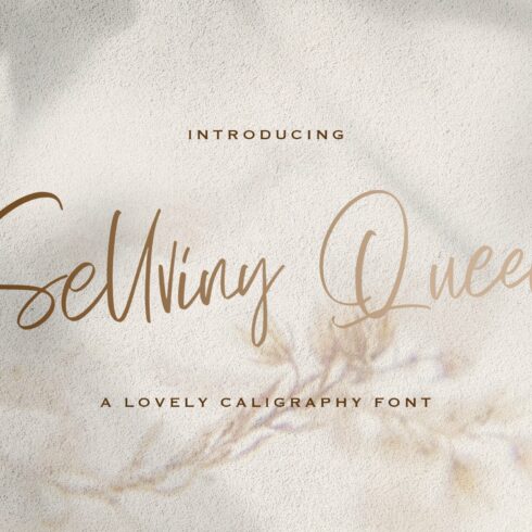Sellviny Queen - Handwritten Font cover image.