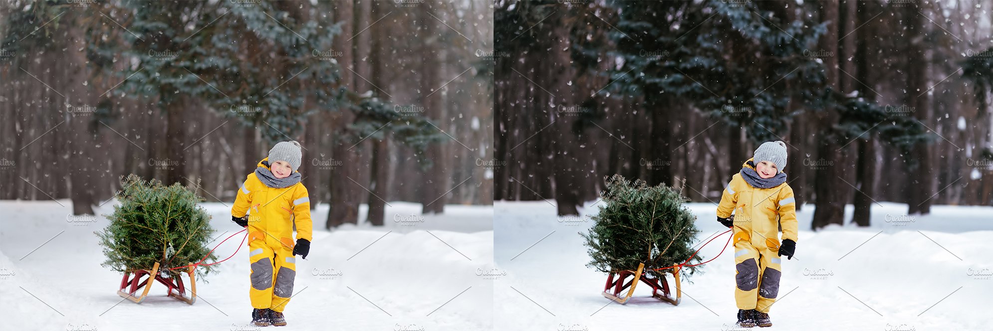 12 x Lightroom Presets, Tree Farmpreview image.