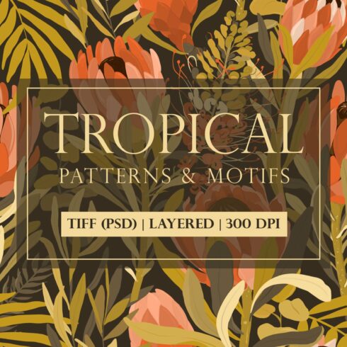 Tropical story. Patterns collection. cover image.
