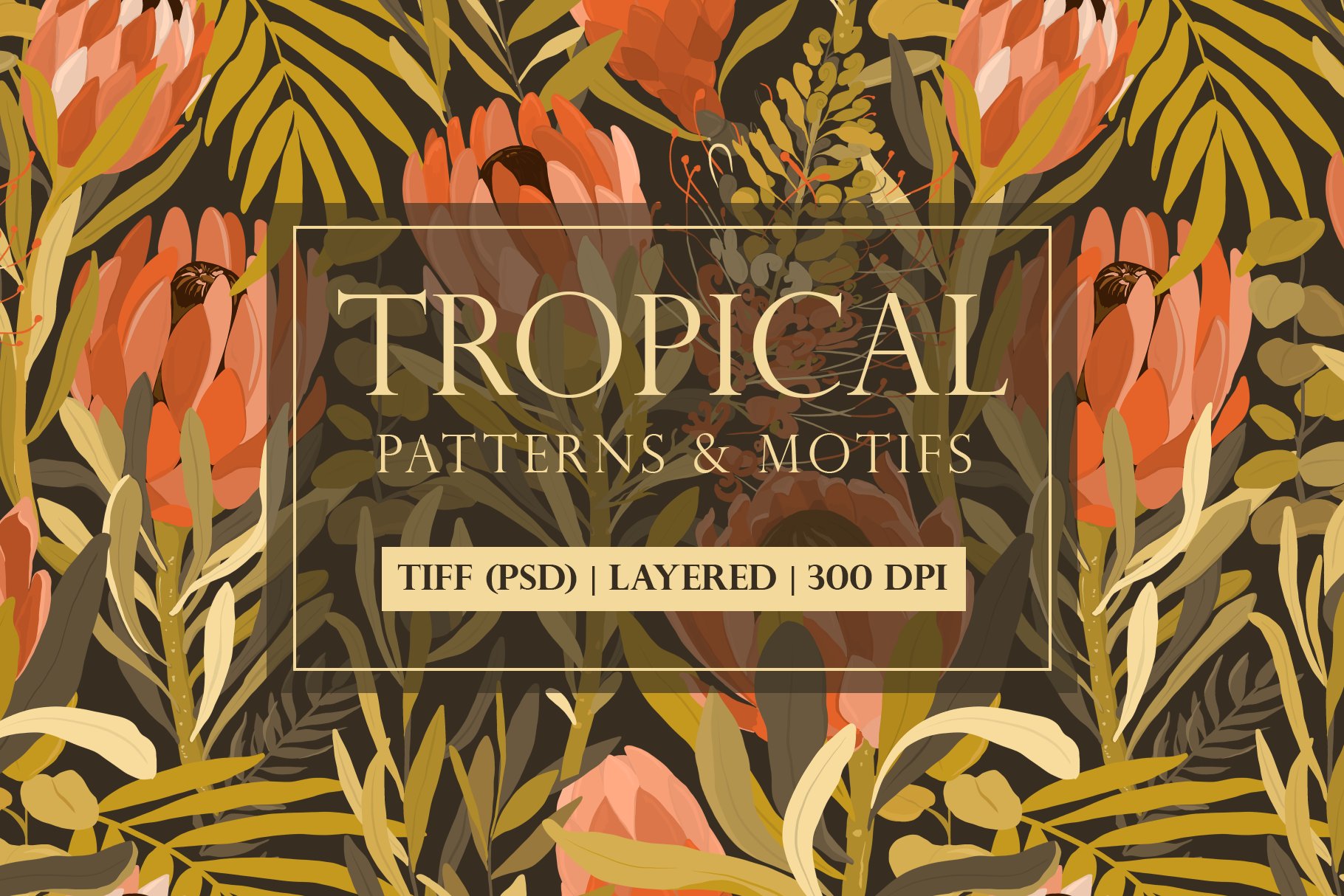 Tropical story. Patterns collection. cover image.