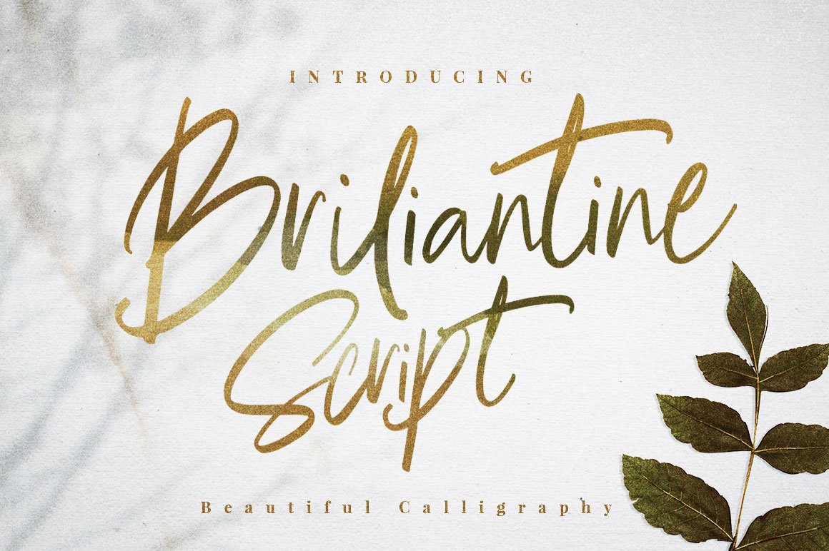 Briliantine Beautiful Script cover image.