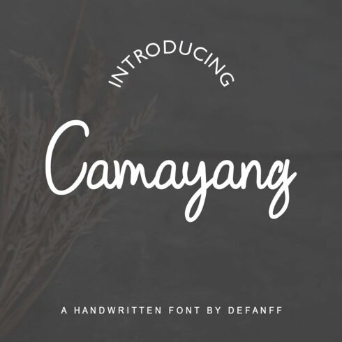 Camayang Handwritten Font cover image.