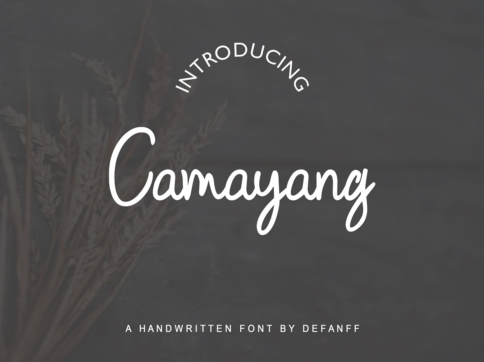 Camayang Handwritten Font cover image.