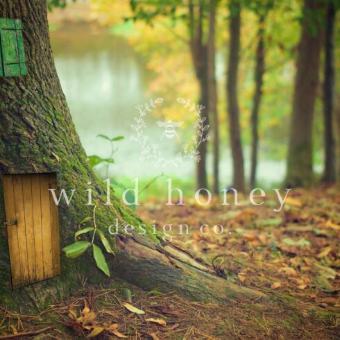 Fairy Door Digital Backdropcover image.