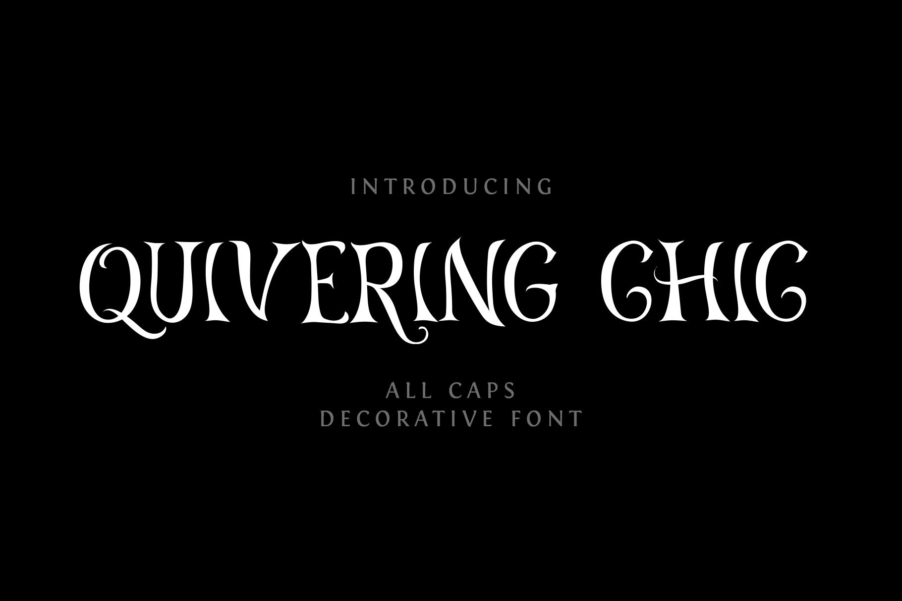 Quivering Chic Playful Display Font preview image.