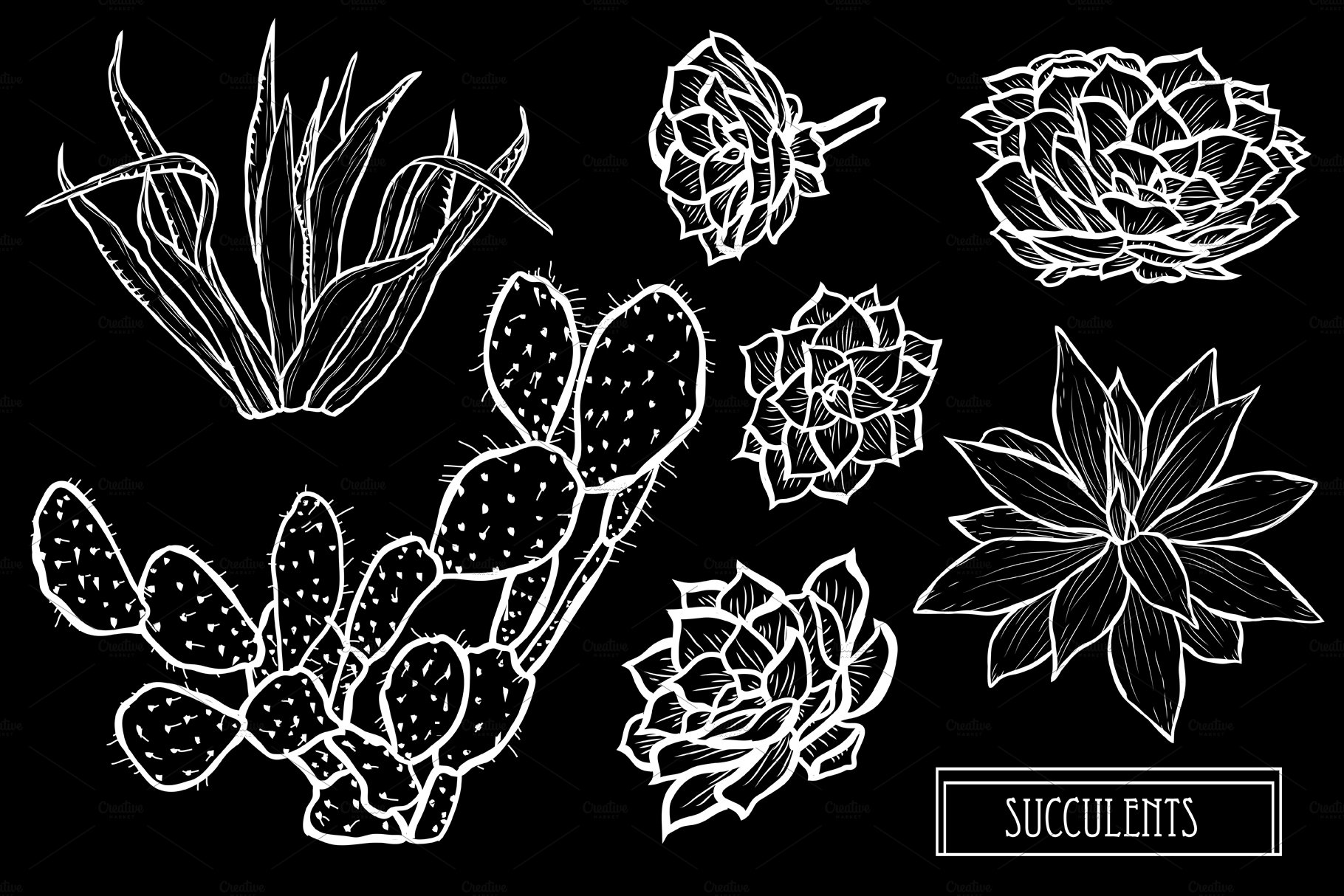 Bunch of cactus plants on a black background.