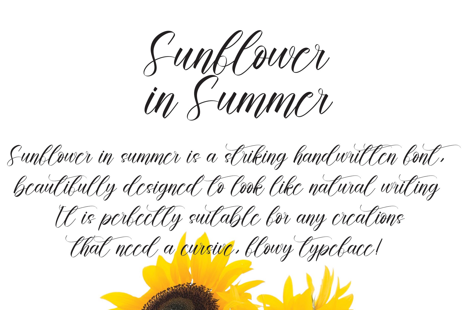 Sunflower In Summer Font preview image.