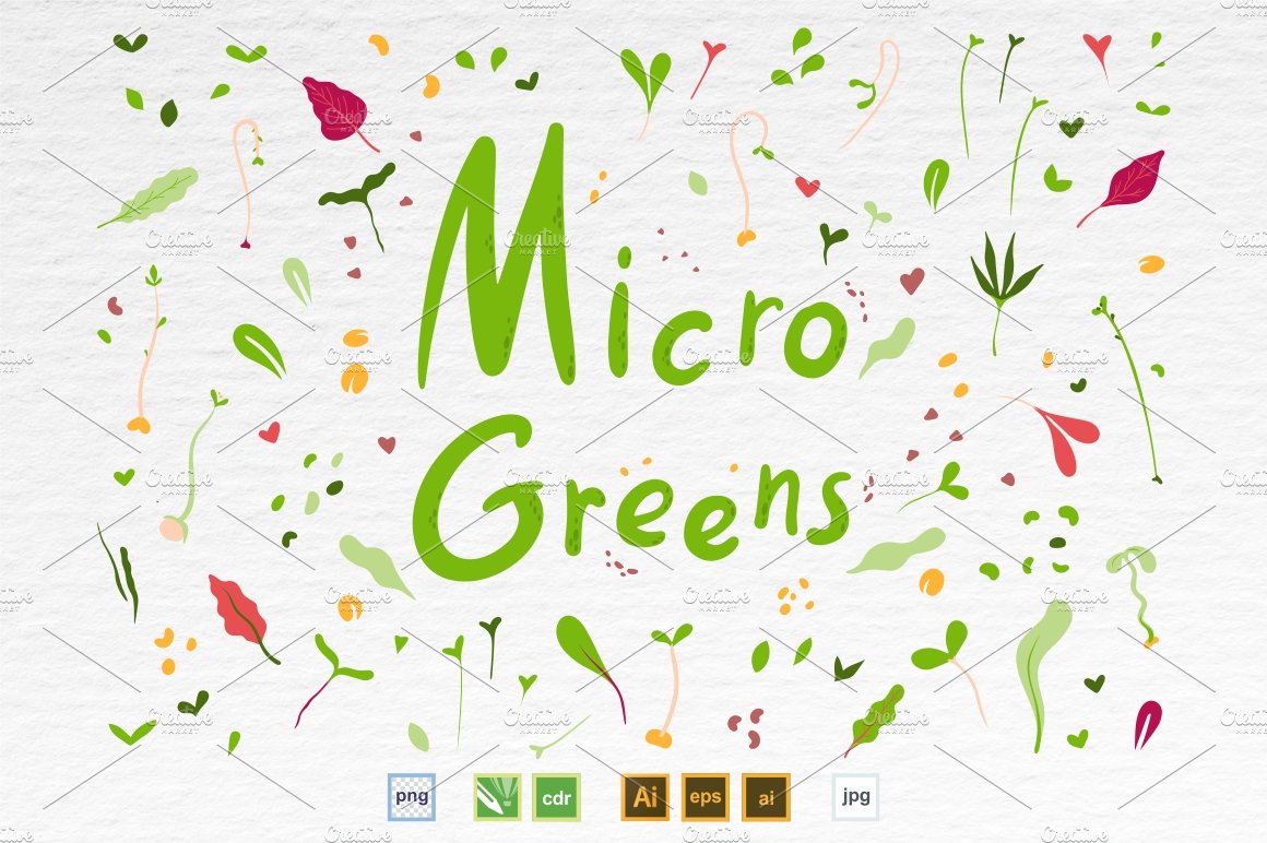 Microgreen illustration set 1 preview image.