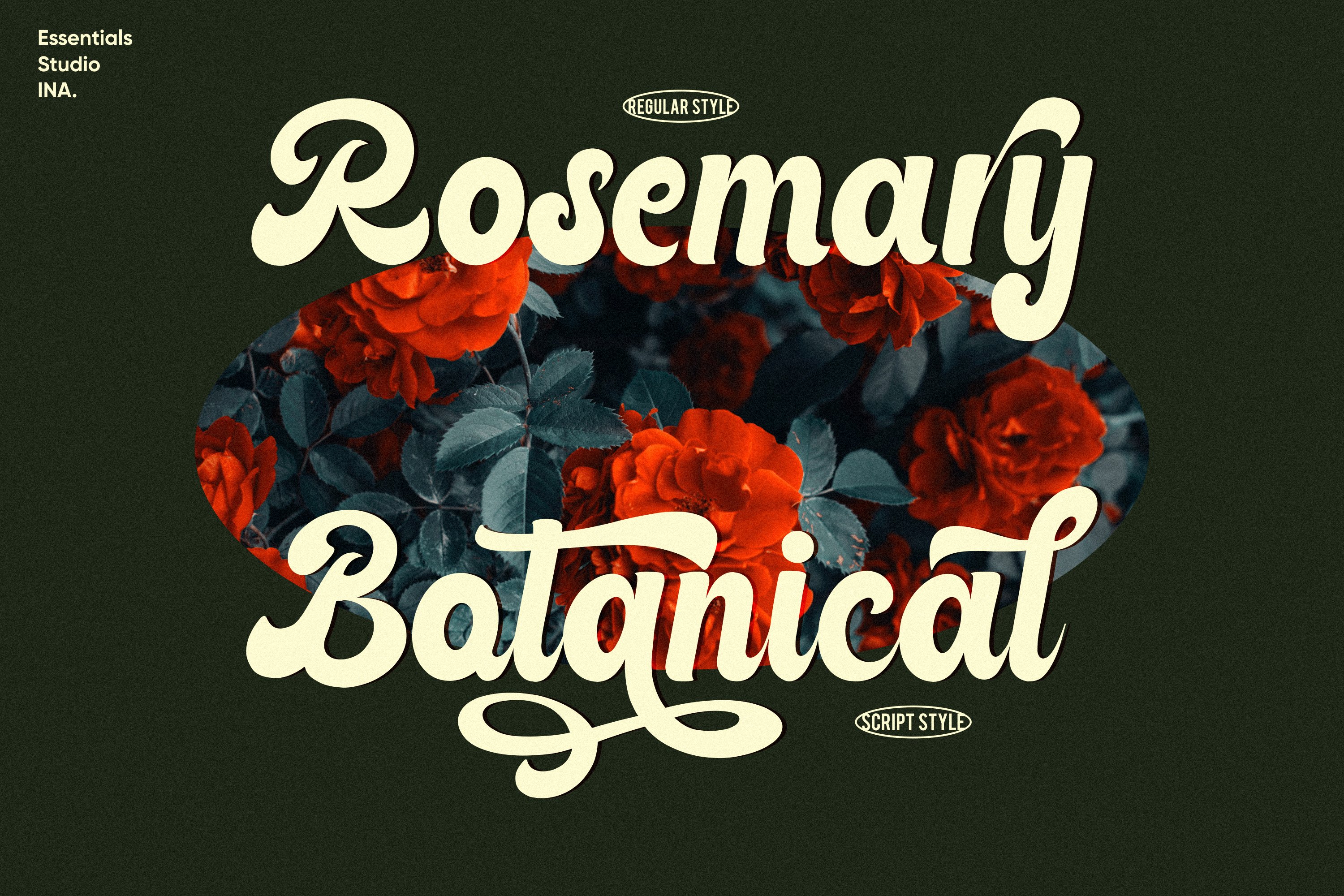 Rateline - Retro Script Font 2 Stylepreview image.