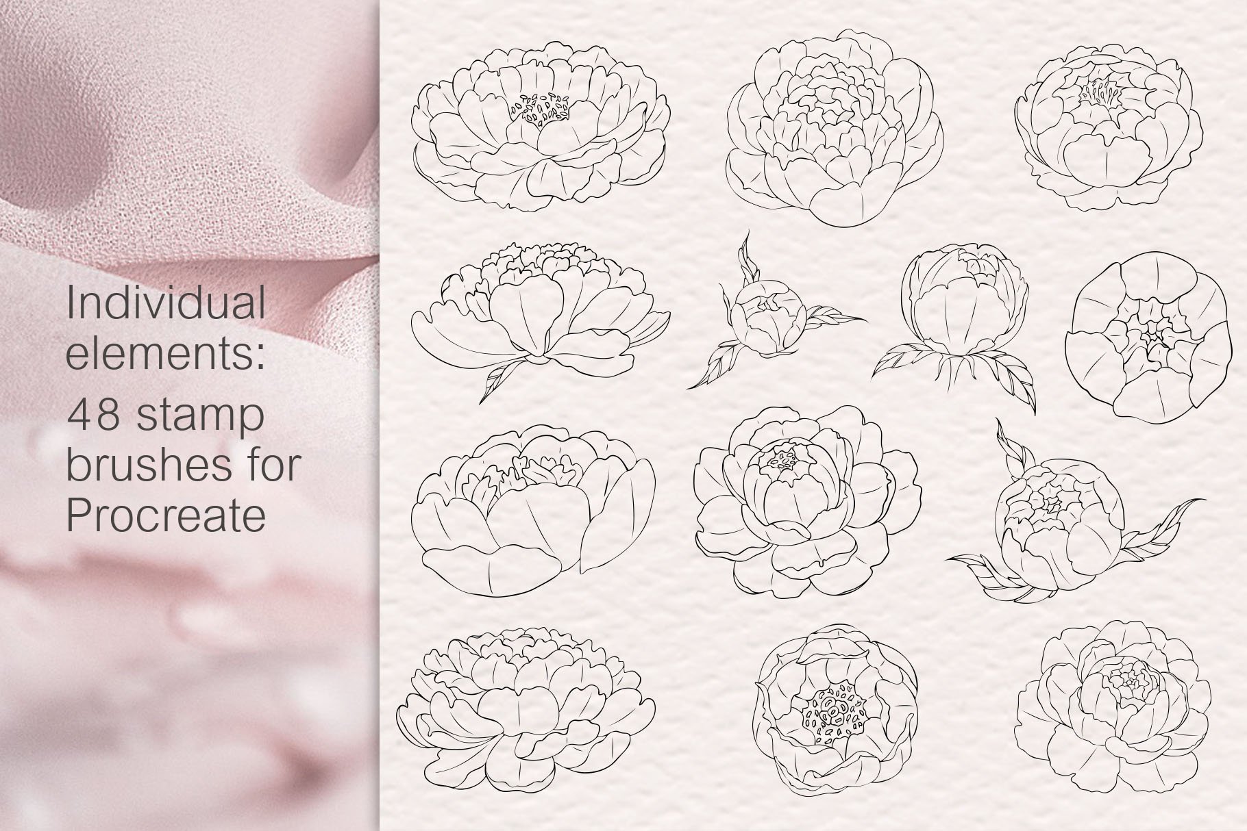 Peony procreate stamps, clipartspreview image.