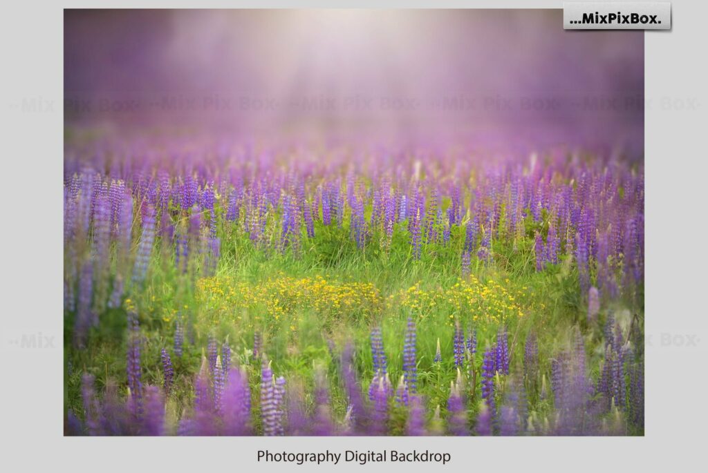 Beautiful Field Backdrops – MasterBundles