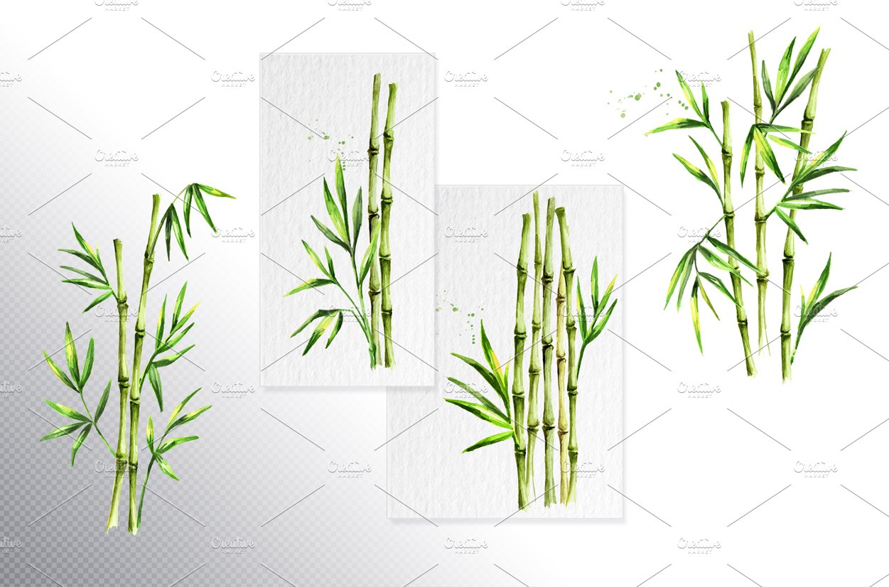 Bunch of green bamboo plants on a white background.