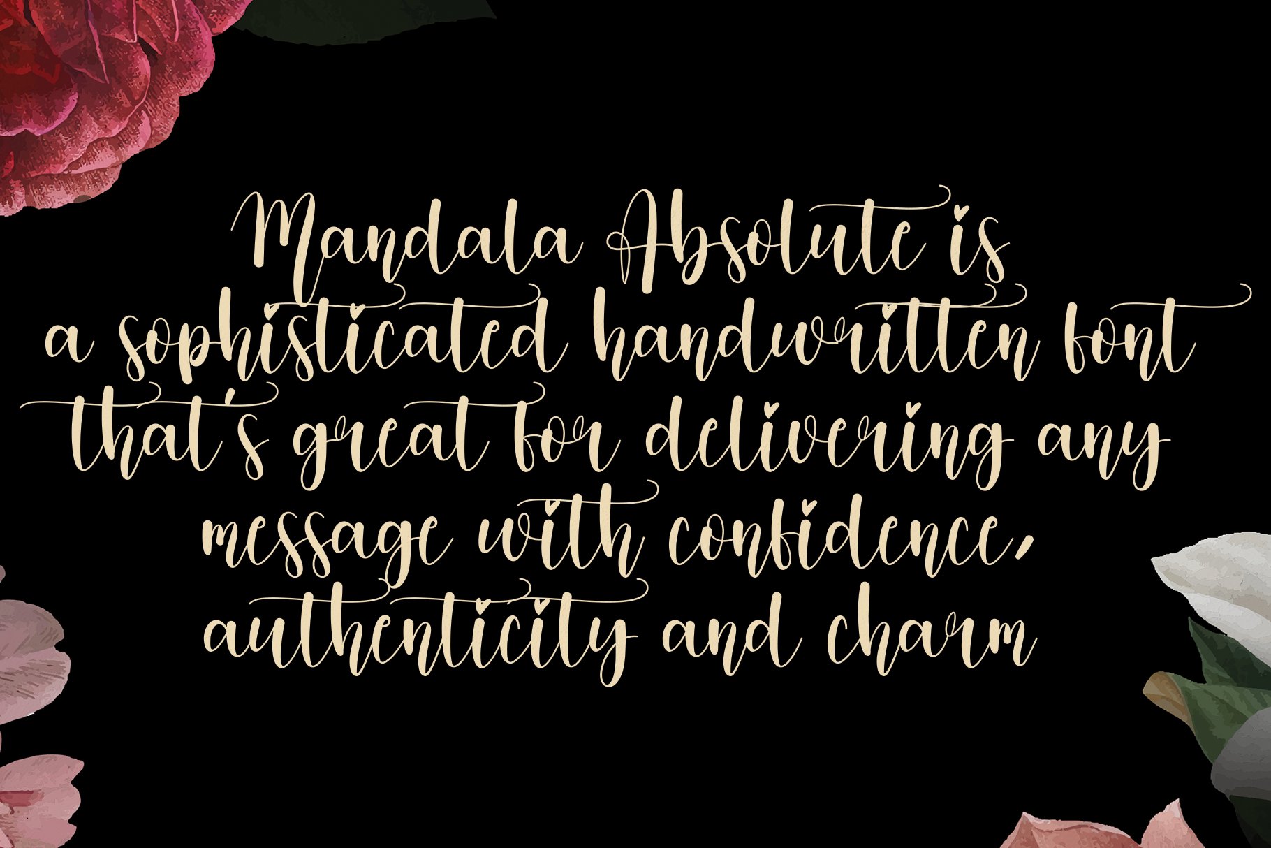 Mandala Absolute | handwritten font preview image.