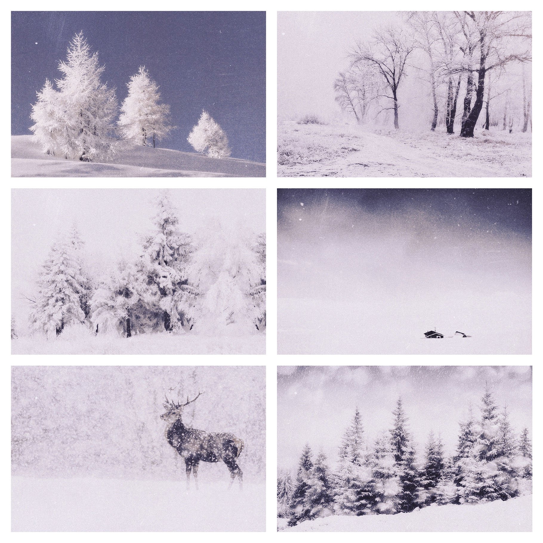 Series of four photographs of a snowy landscape.