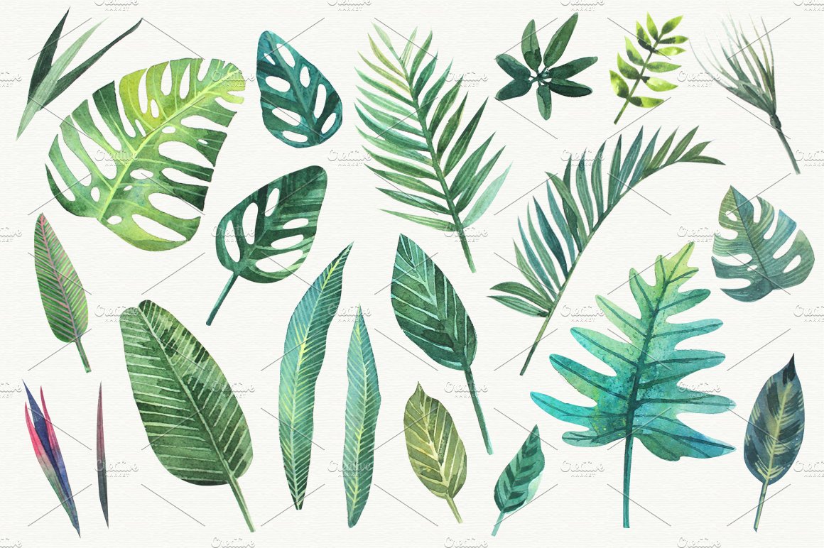 Tropical leaves preview image.