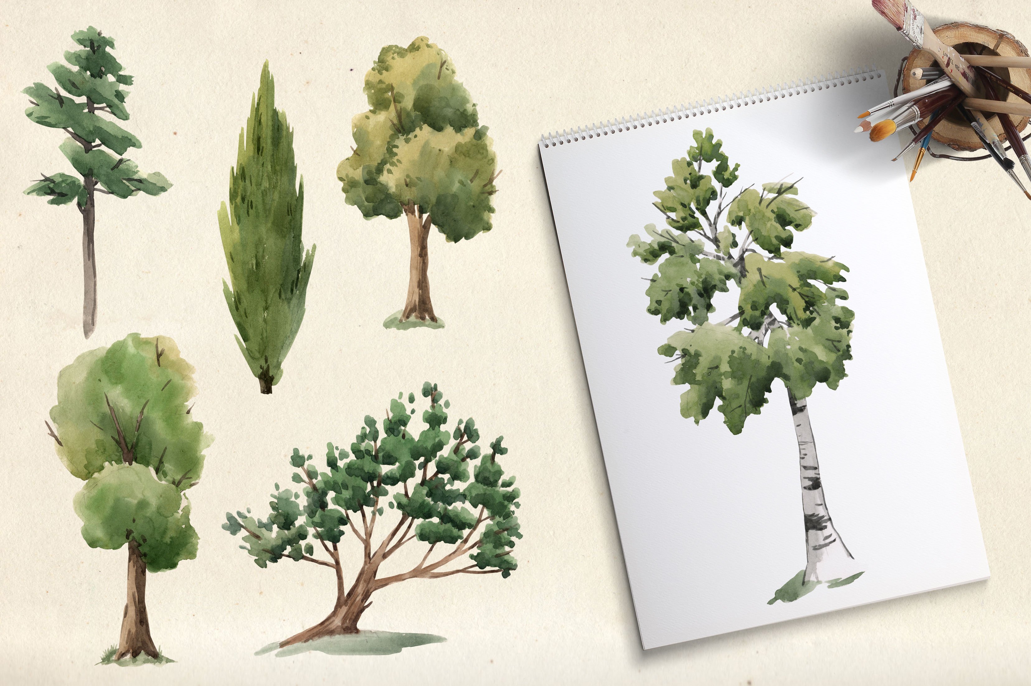 Watercolor Trees Illustrations PNG preview image.
