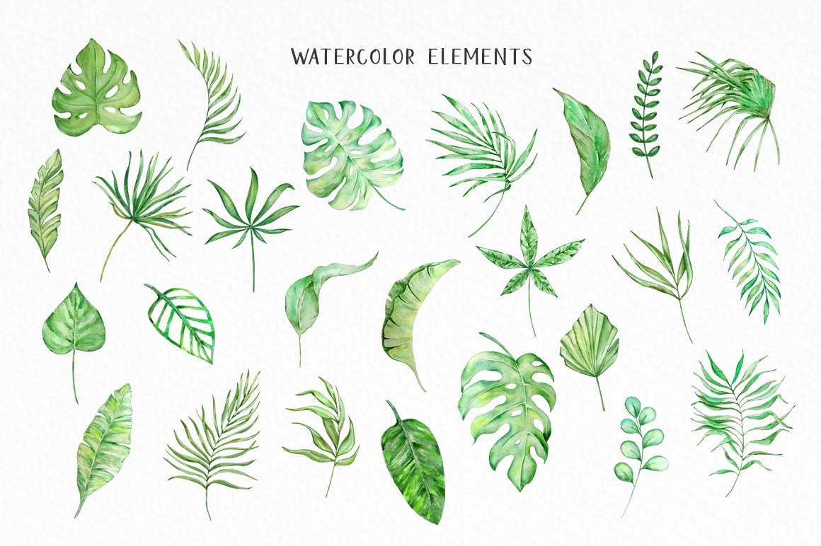 Collection of watercolor leaves.