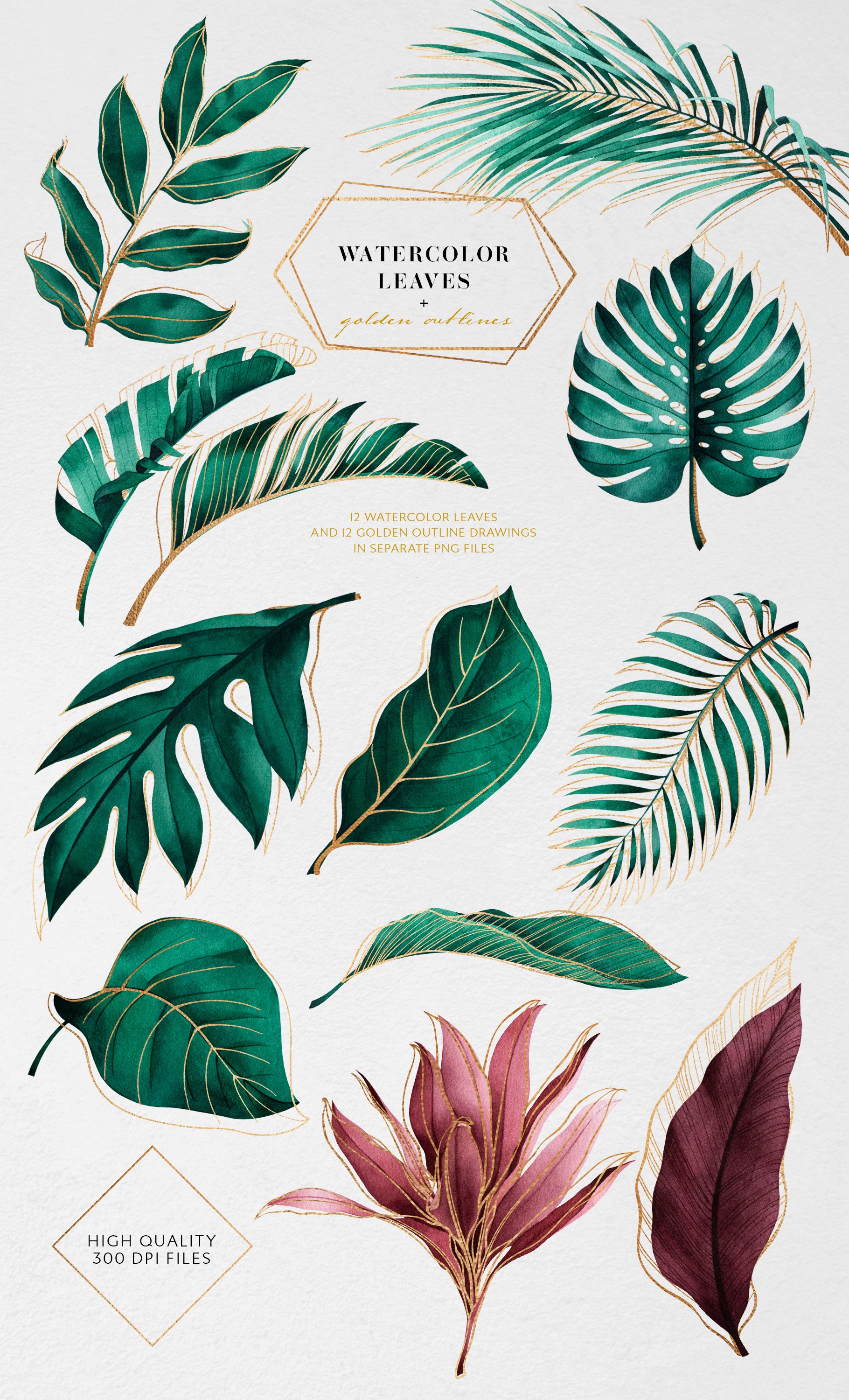 Tropical watercolor collection preview image.