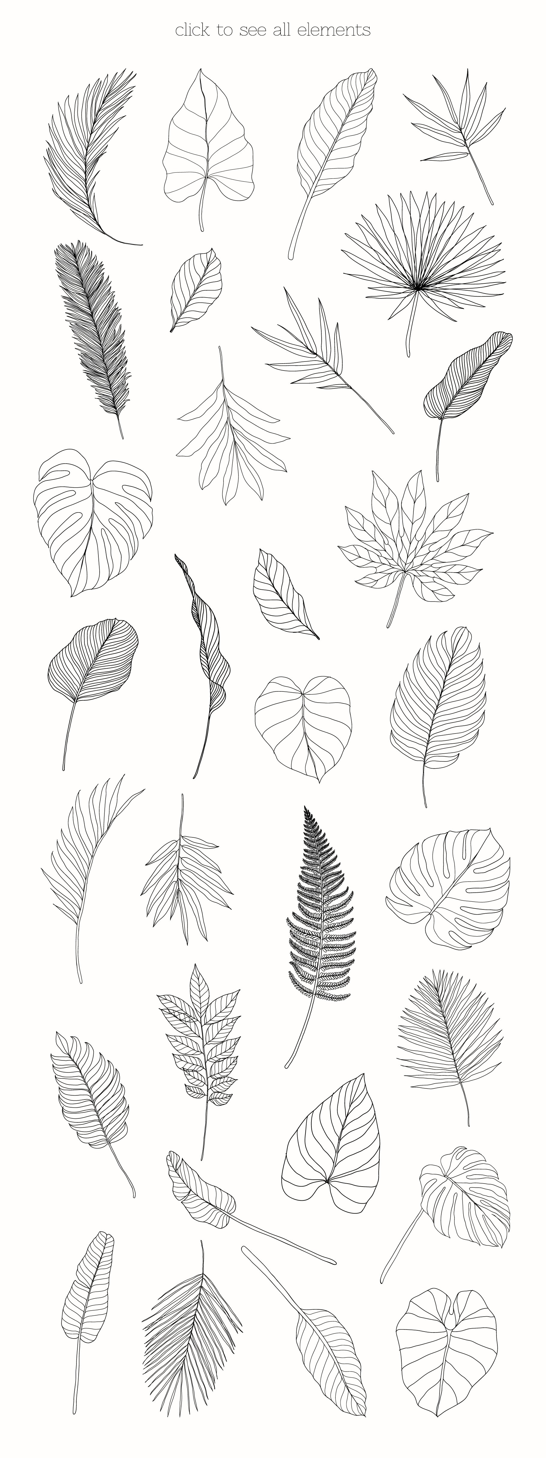 Line Art Tropical Leaves Clipart. preview image.