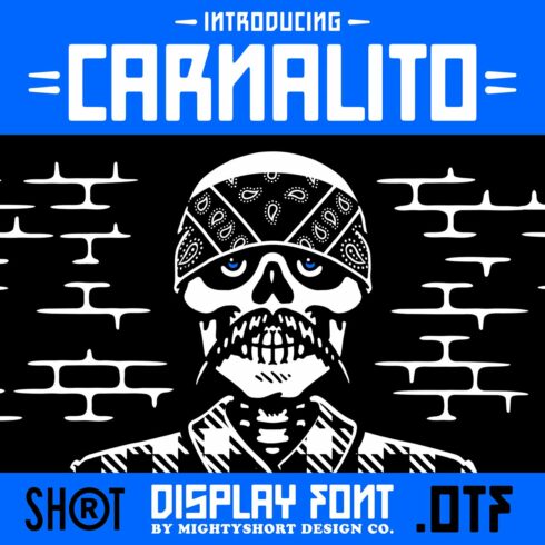 Carnalito Font cover image.