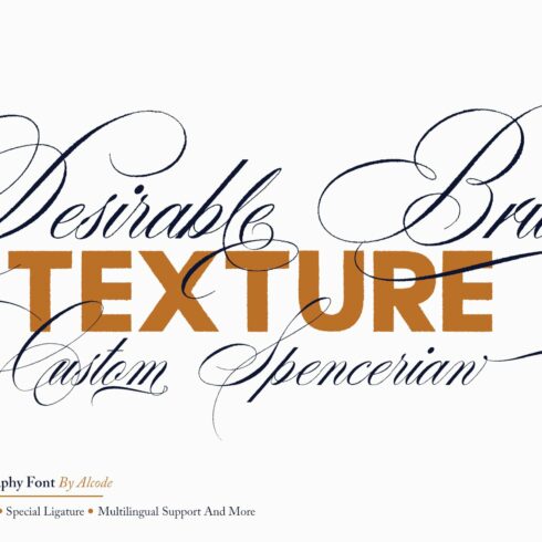 Desirable Brush Texture cover image.