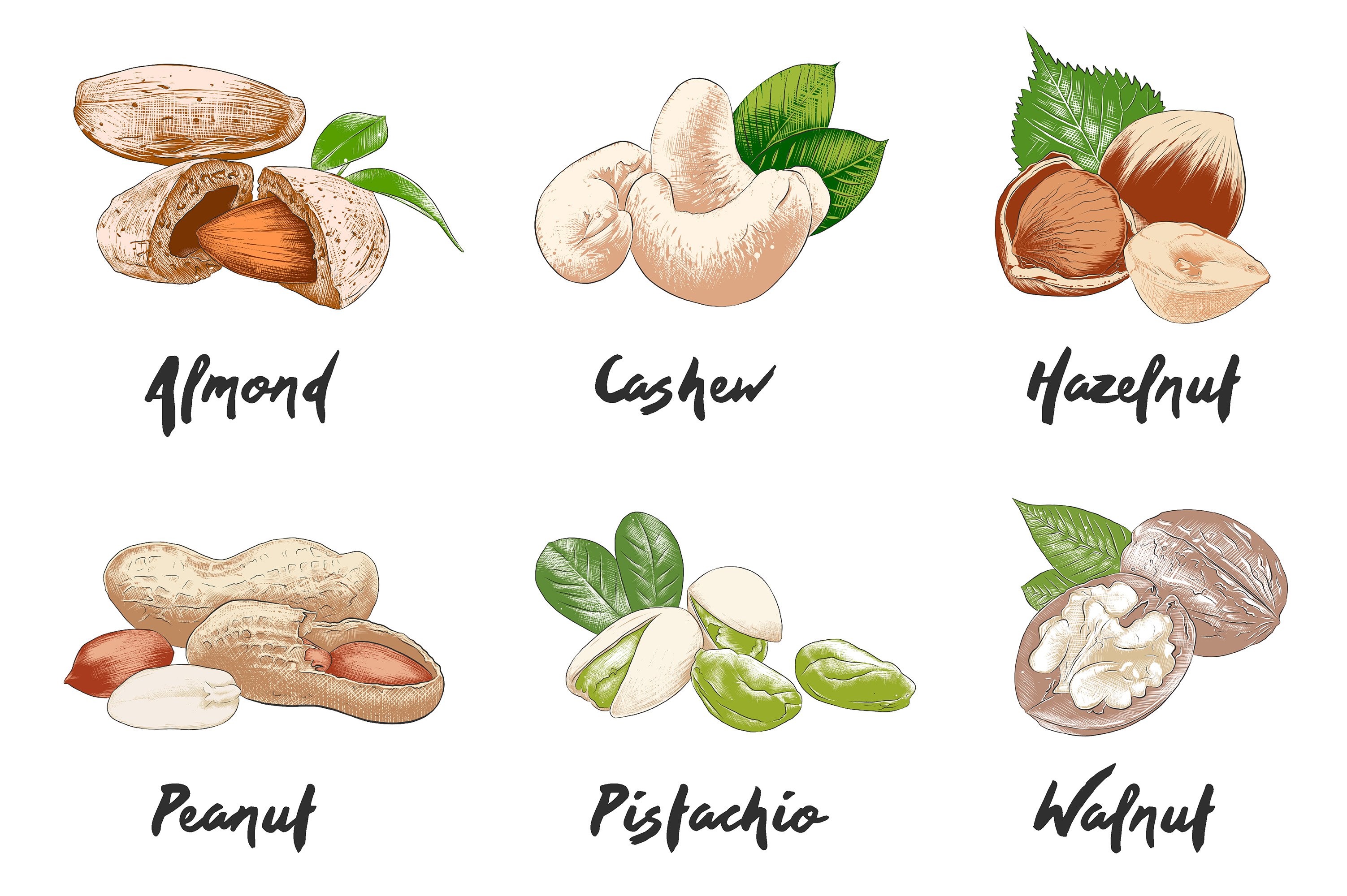 A bunch of nuts that are labeled in different languages.