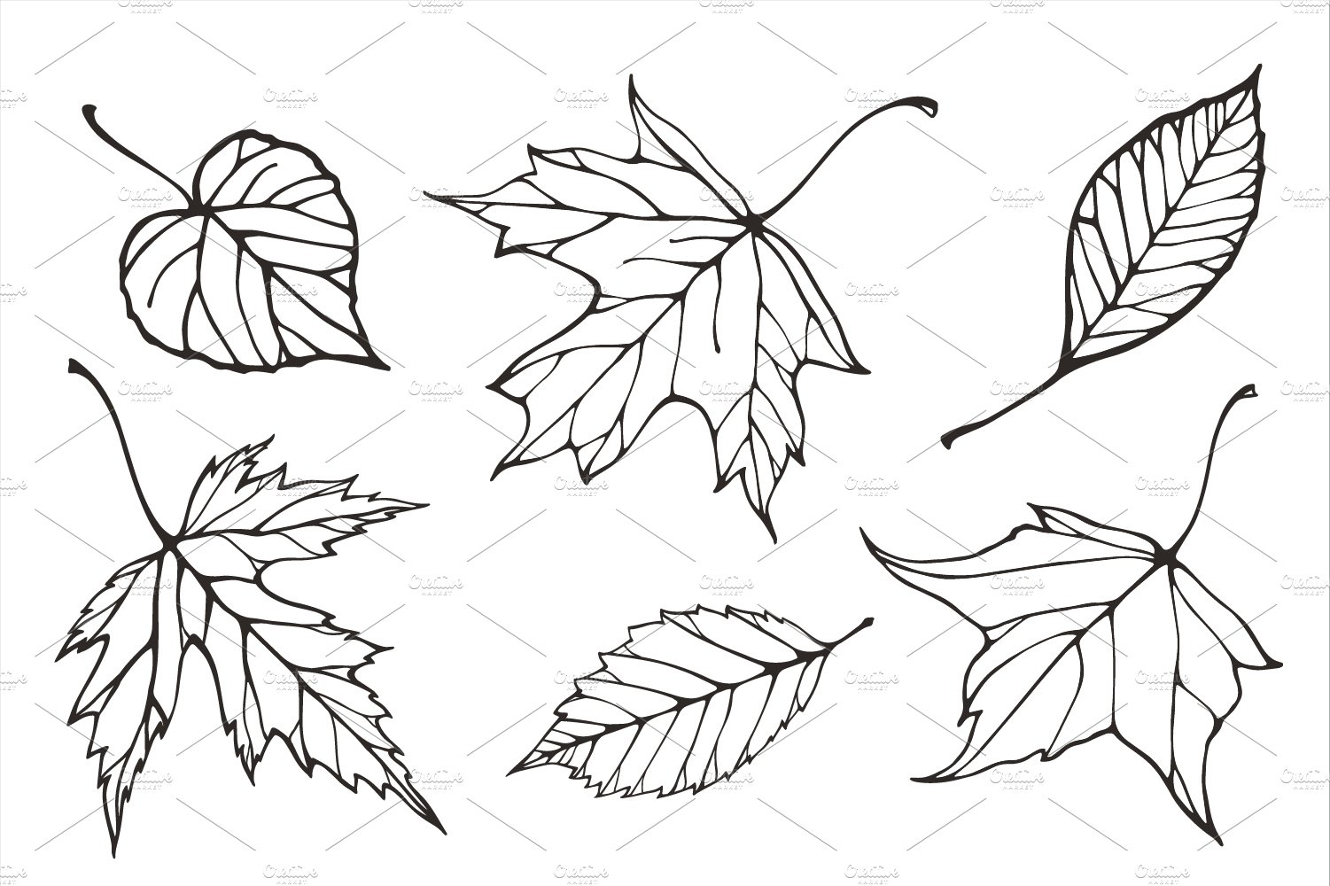 Fall leaves patterns+illustrations preview image.