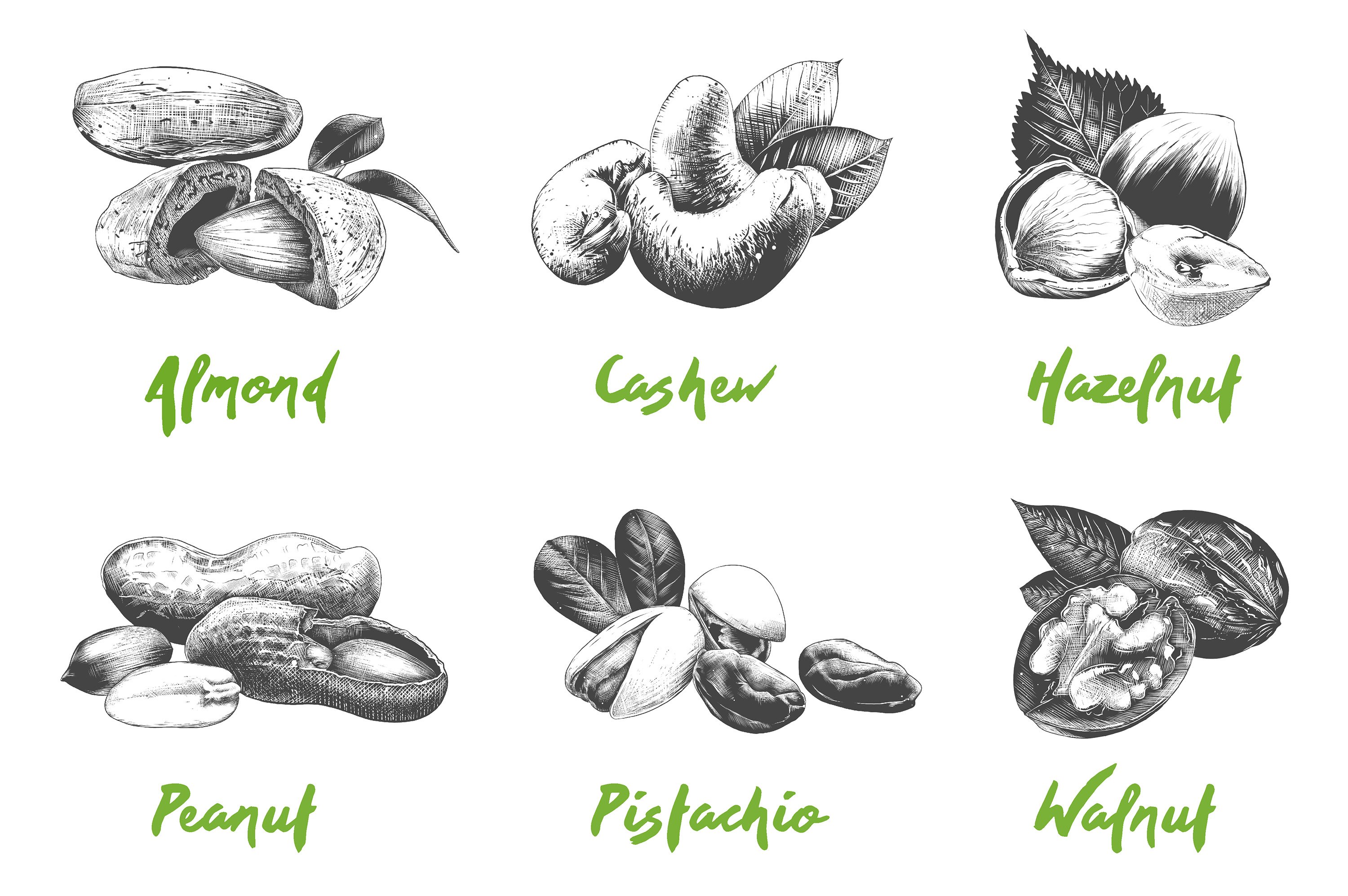 Bunch of different types of nuts on a white background.