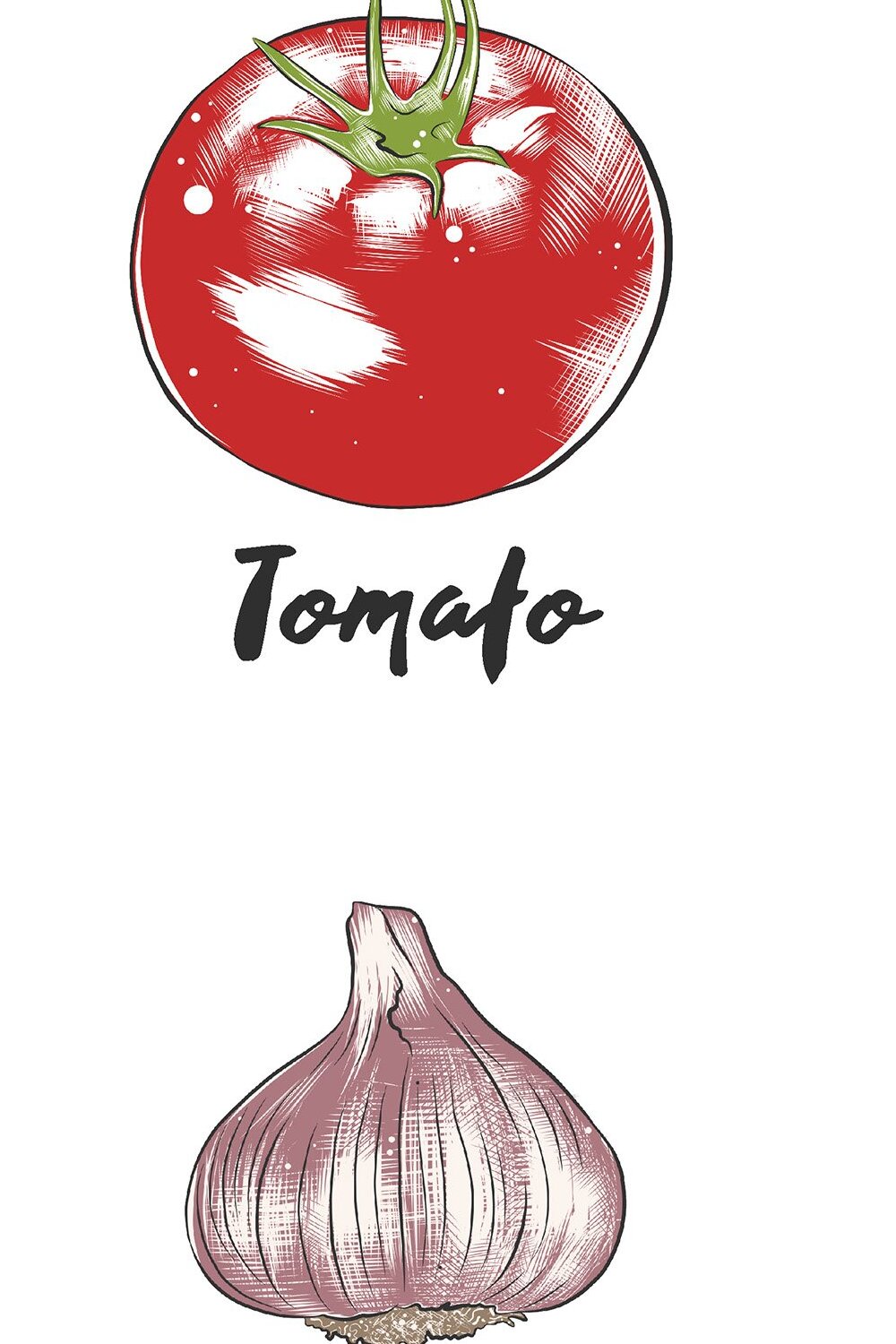A drawing of a tomato and a garlic.