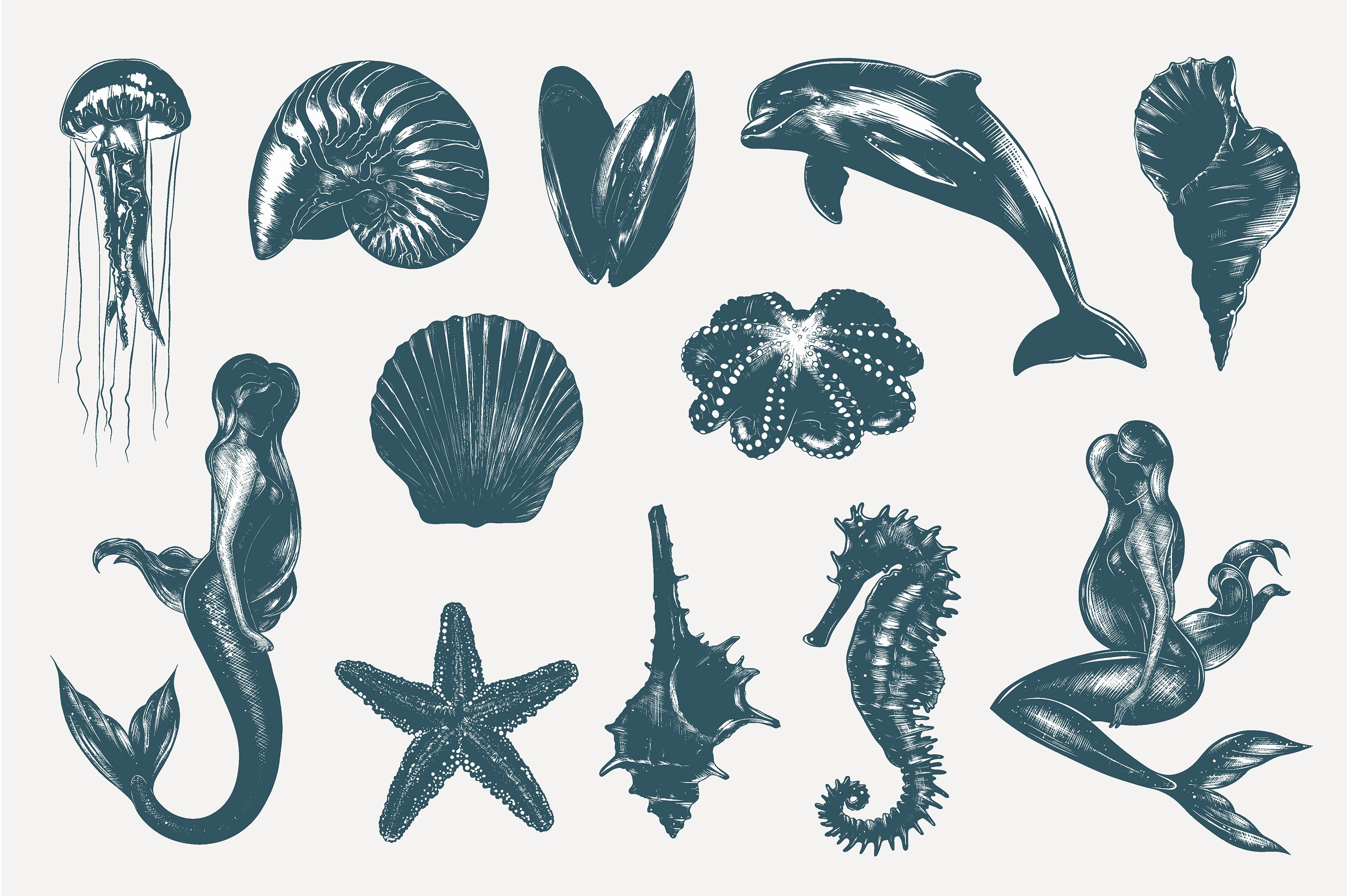Collection of sea animals and sea creatures.