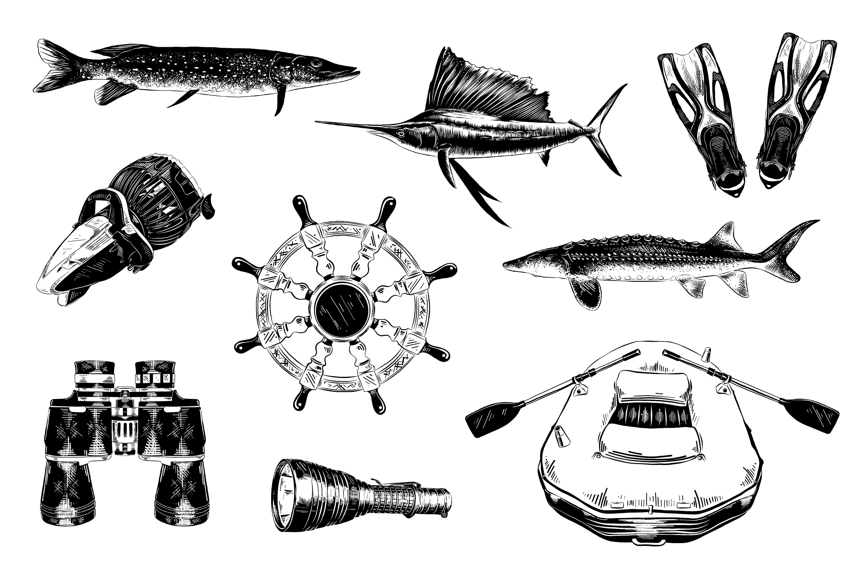 Black and white drawing of different types of fish.