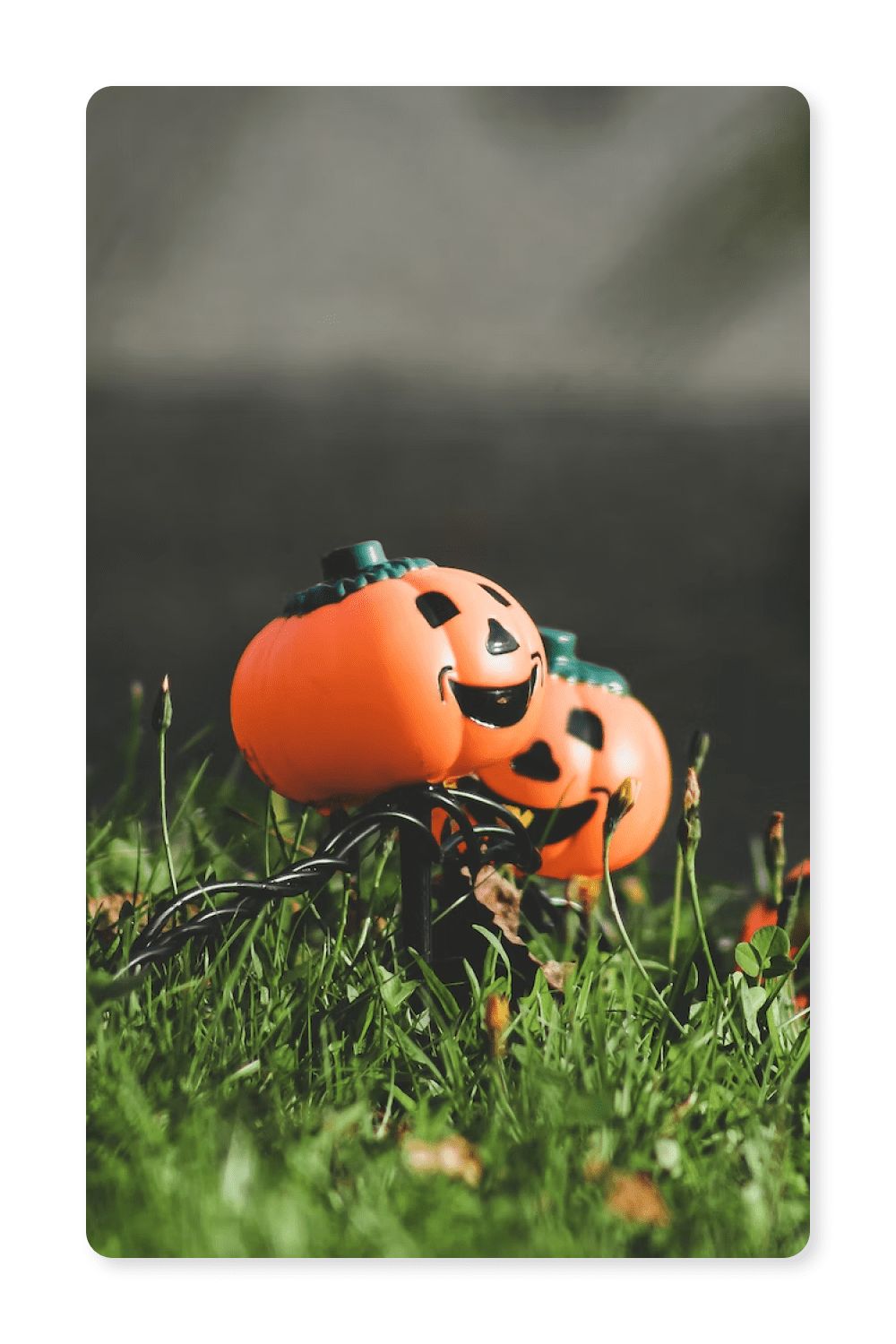 Photo of two plastic pumpkins in the grass.