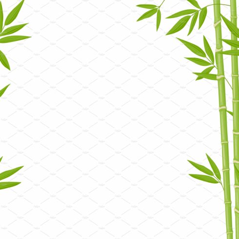 Bamboo tree with green leaves on a white background.