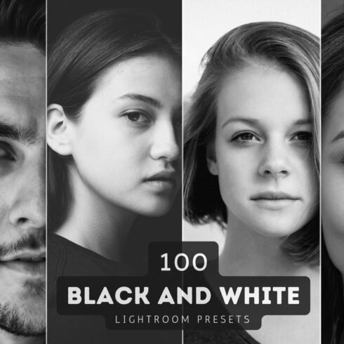 100 Black & White Lightroom Presetscover image.