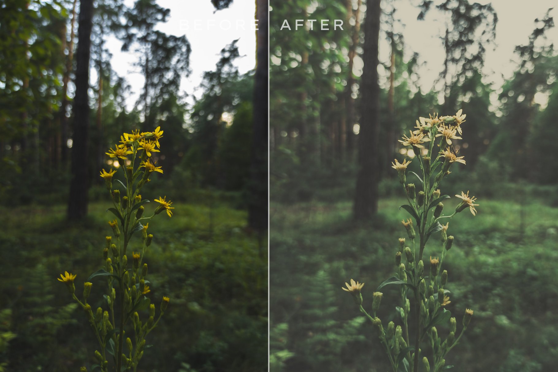 100 Spring Lightroom Presets Bundlepreview image.